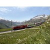 IMG_SELECT_ALPENPANORAMA_FRUEHLING_SMALL