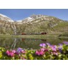 IMG_SELECT_OBERALPPASS_BERGSEE_SMALL